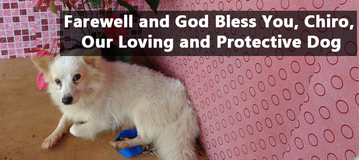 Farewell and God Bless You, Chiro, Our Loving and Protective Dog